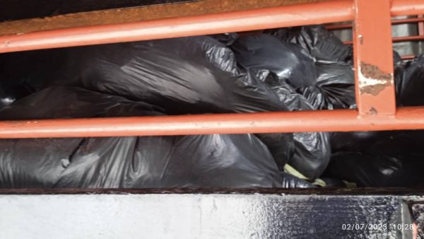 企图闯关遭警扣留 罗里载3公吨哥冬叶