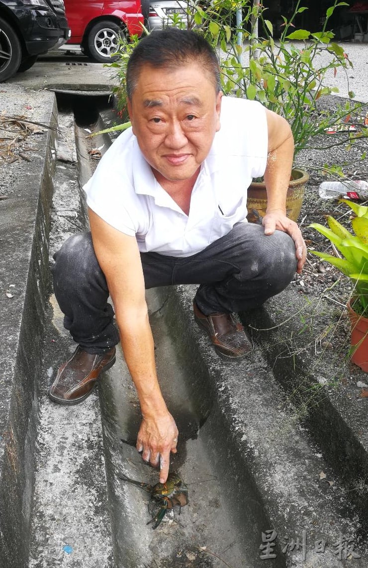 住宅区沟里发现小龙虾