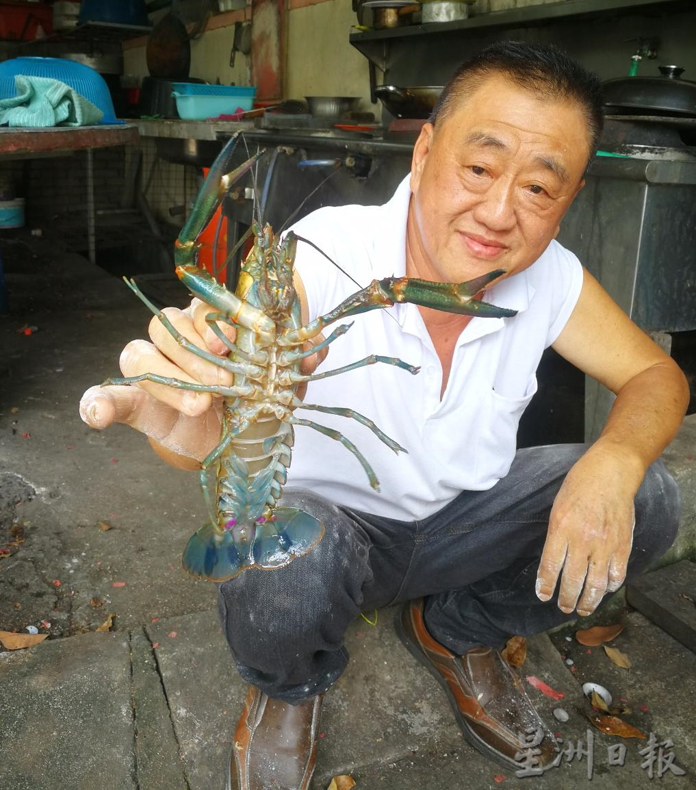 住宅区沟里发现小龙虾
