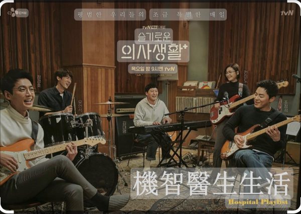 光头佬/猫时间、狗日子!