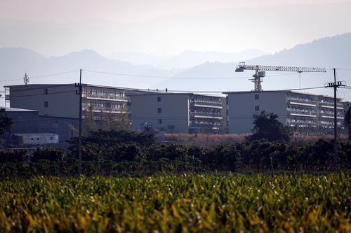 再有5名大马猪仔获救·在曼谷等待回国