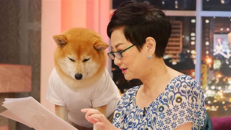 刘文正被赐|张小燕重批夏玉顺疯了 女星爆高凌风甄珍“被骗内幕”	 