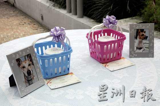 吉隆坡兽医局01/灾难现场暖心时刻,将狗狗遗体“送”回家