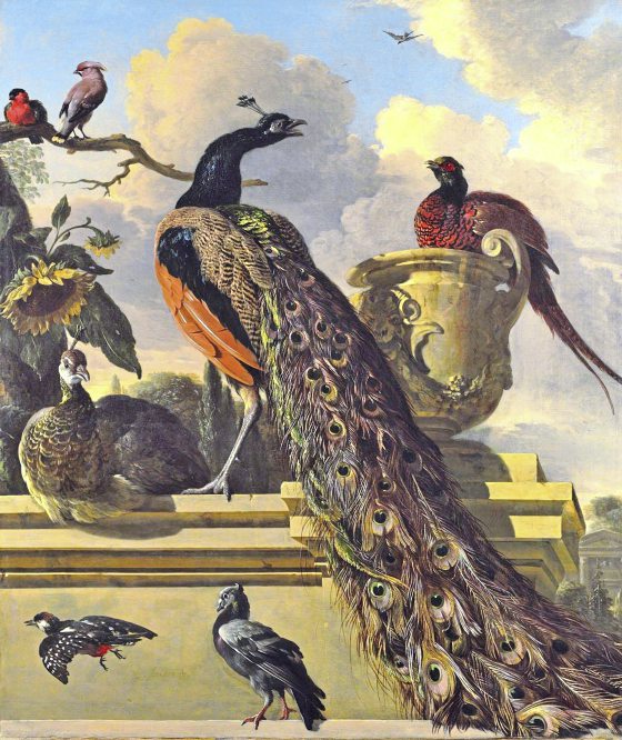 吴伟才／洋人的宠物画