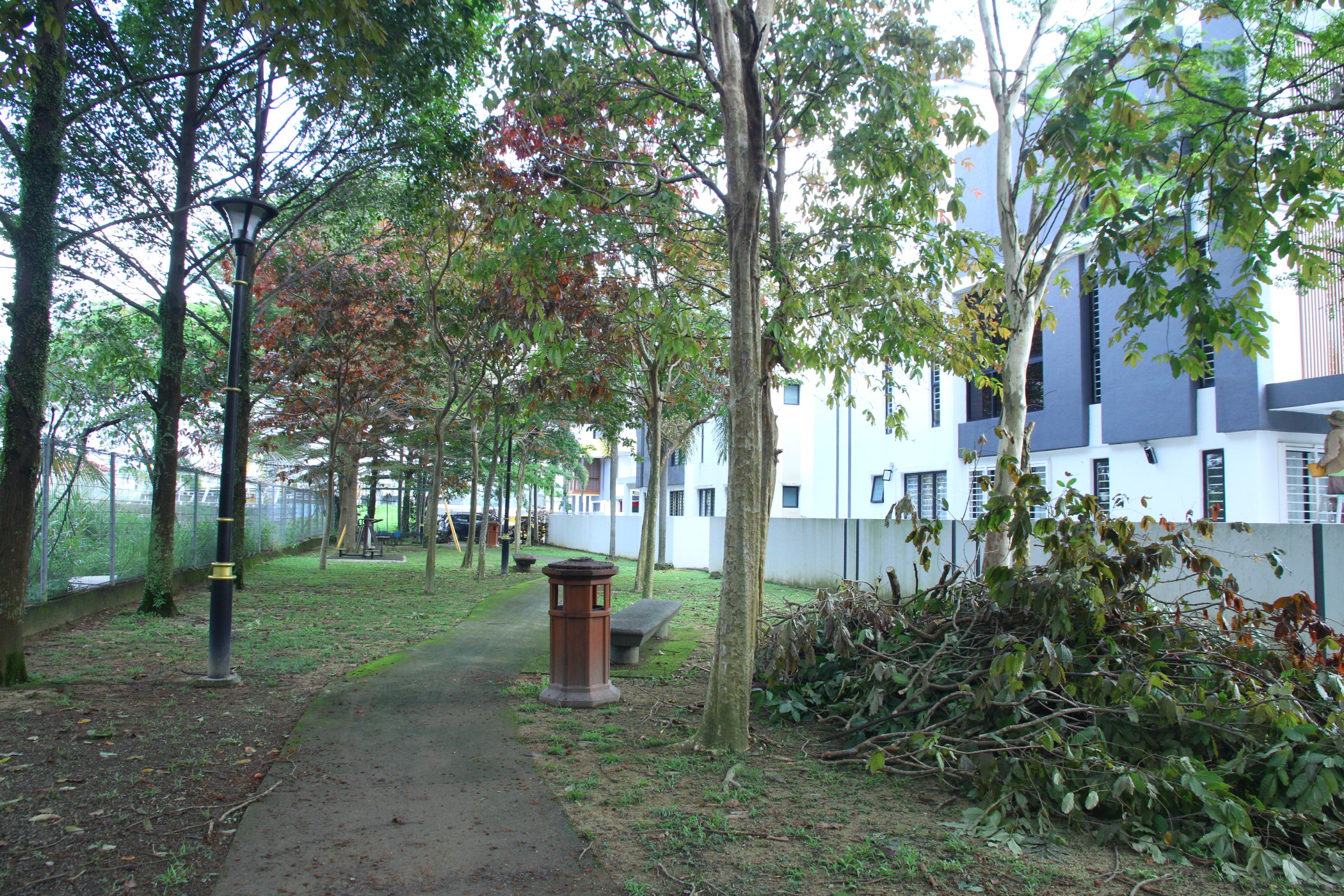 大都会3/头/余保凭巡视住宅区公园/6图