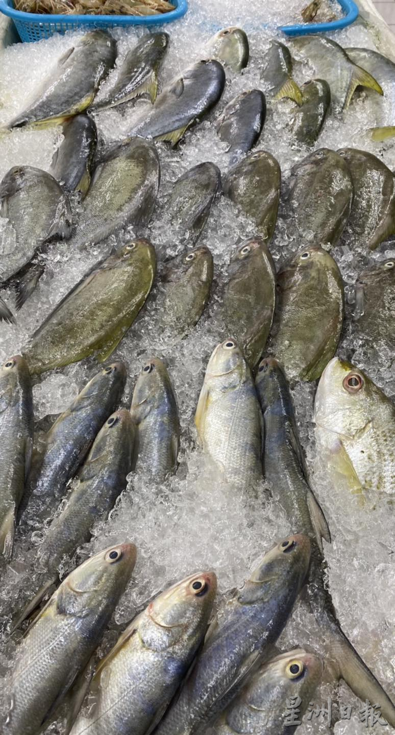 大霹雳焦点/甘榜鸡部分菜价回跌 春节后海鱼跌价又起