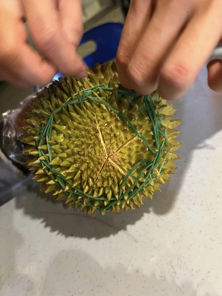 大马哈瓜太能唱！ 告五人打趣“怕唱输”