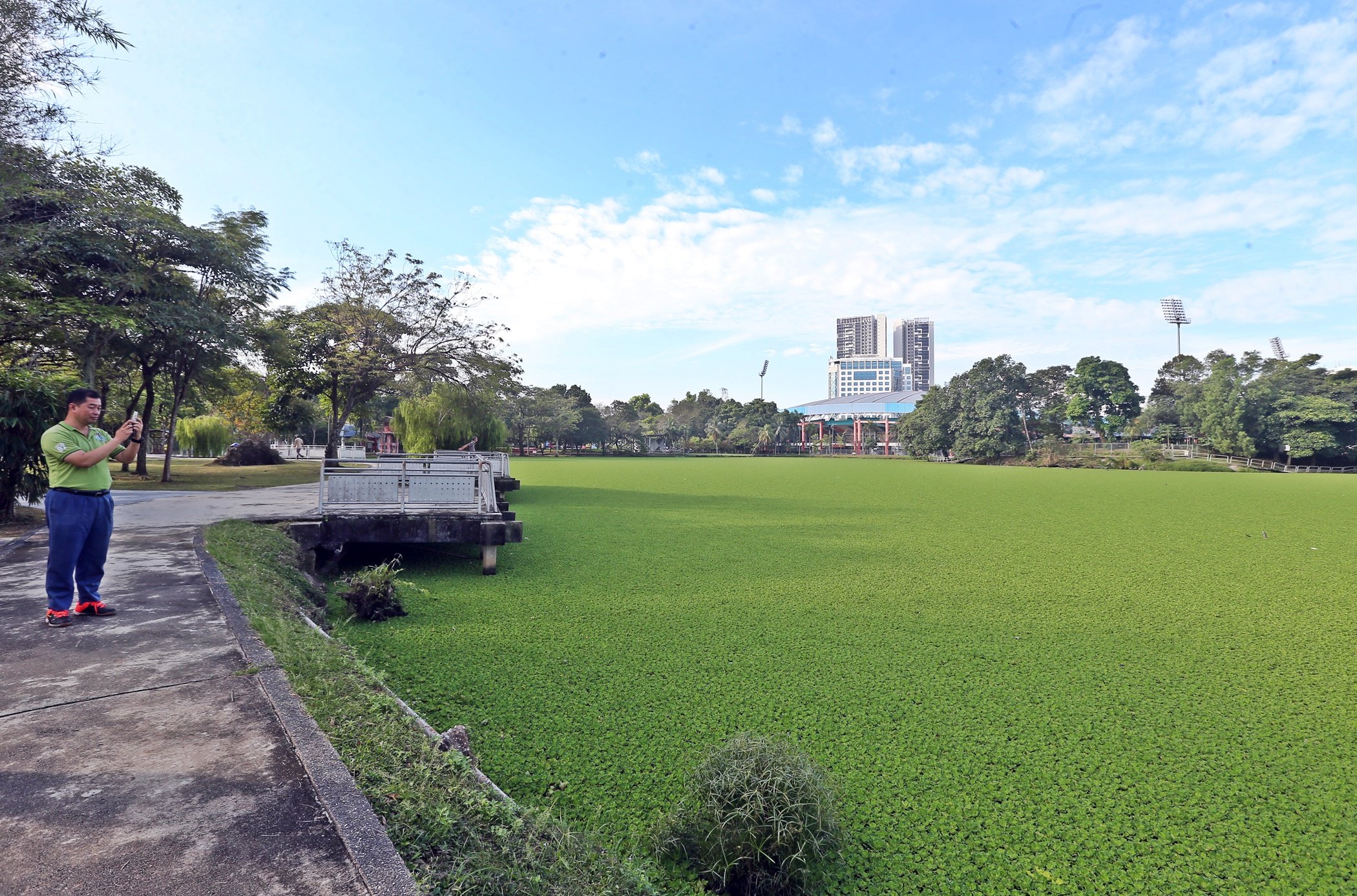 封面（大都会）格拉那再也城市公园长满浮萍／10图