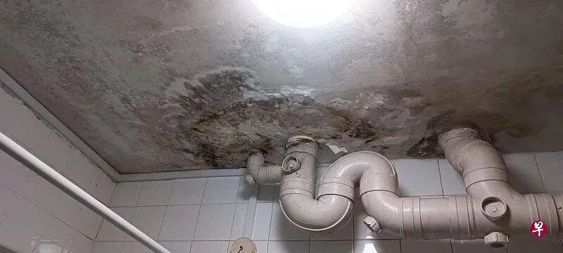 *已签发*柔:狮城二三事:卧室厕所天花板发霉异味难忍 夫妻当“厅长”1年