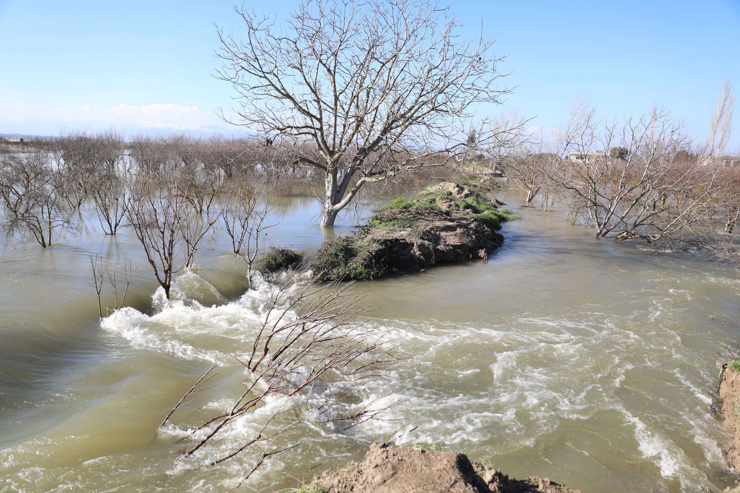 强震导致水坝溃堤 叙利亚西北小镇居民逃离家园