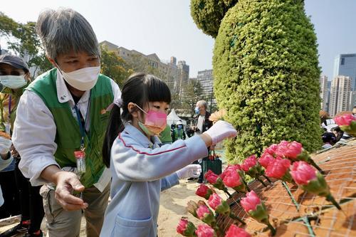 拼盘　每日一展／约千名学生为香港花卉展览镶嵌大型花坛