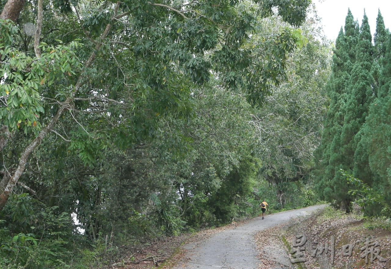 攀龙岗山须提防 丹那依淡现老虎黑豹踪影