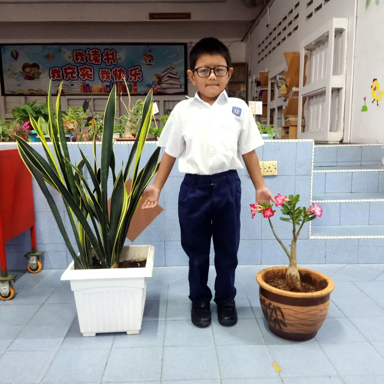 文德甲中华一校献力环保 一人一树呵护绿色校园
