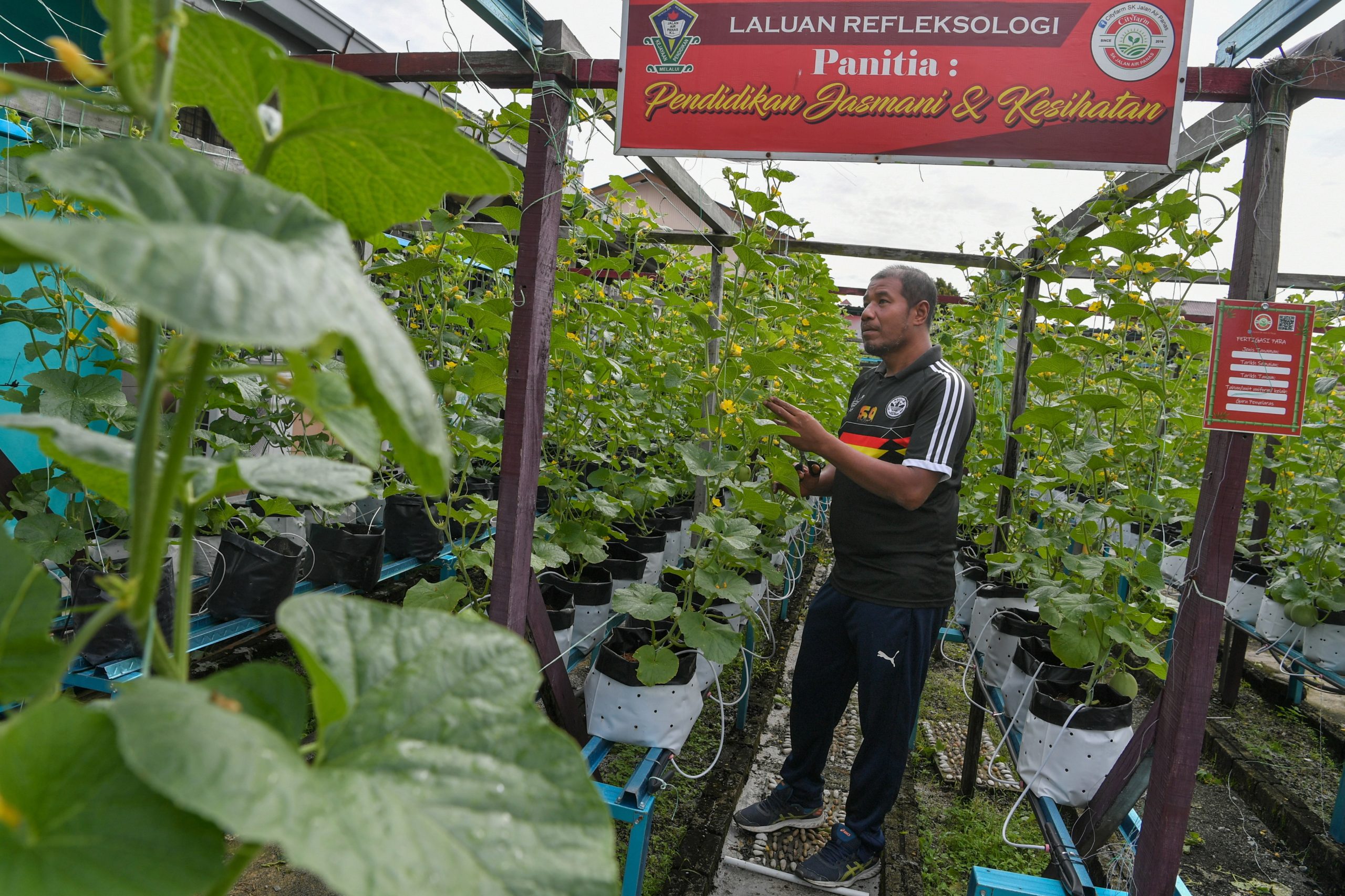 暖势力/城市农场
