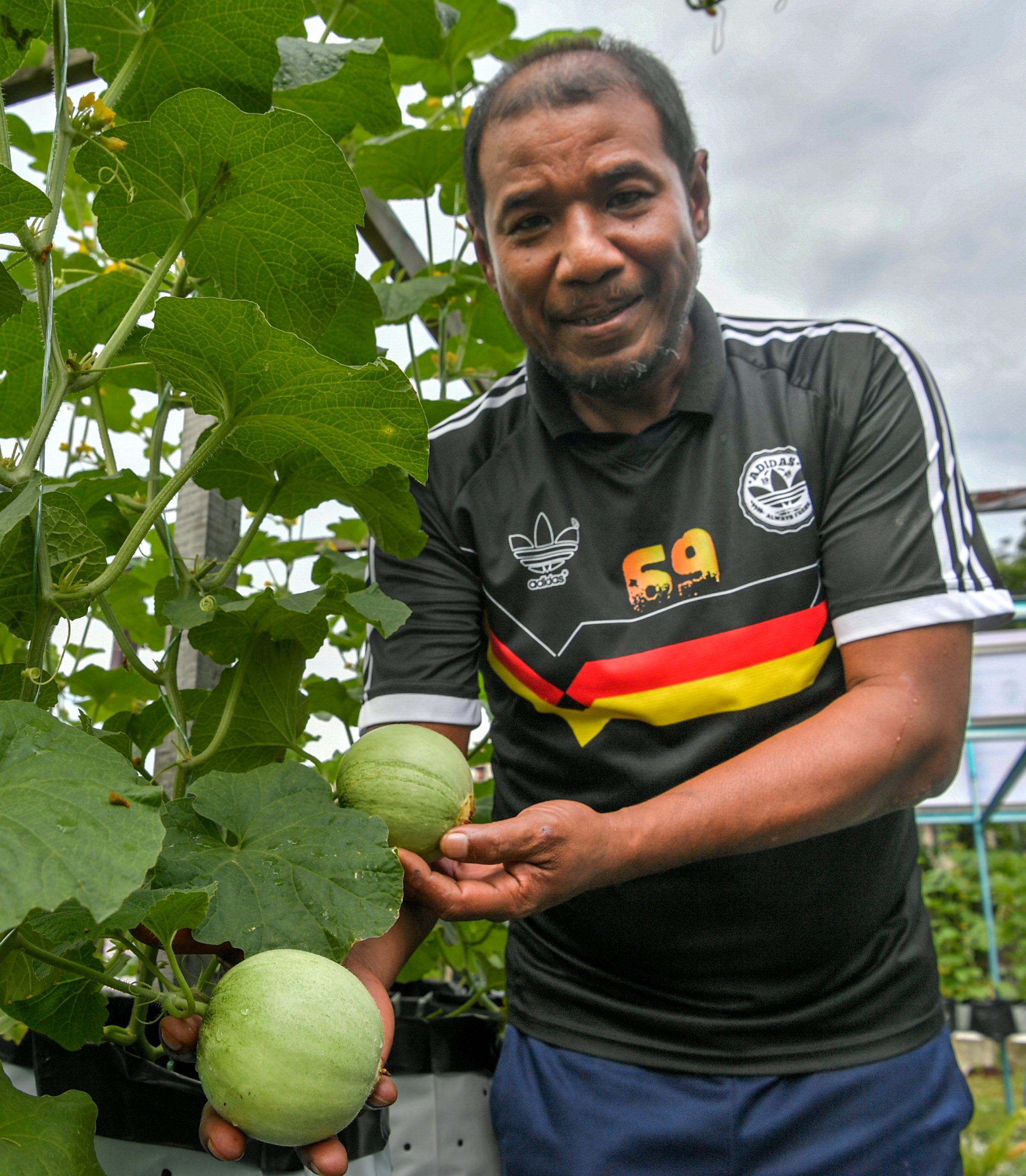 暖势力/城市农场