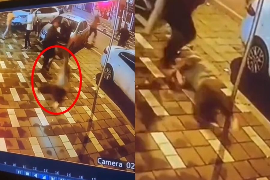 有片）7.8级强震狂晃！土耳其男果断“跳楼逃生”重摔　惊险瞬间疯传