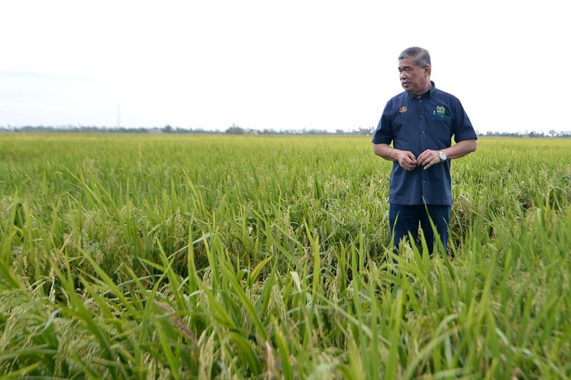 末沙布:个人成败非取决头衔 “有头衔者也会输给普通人”