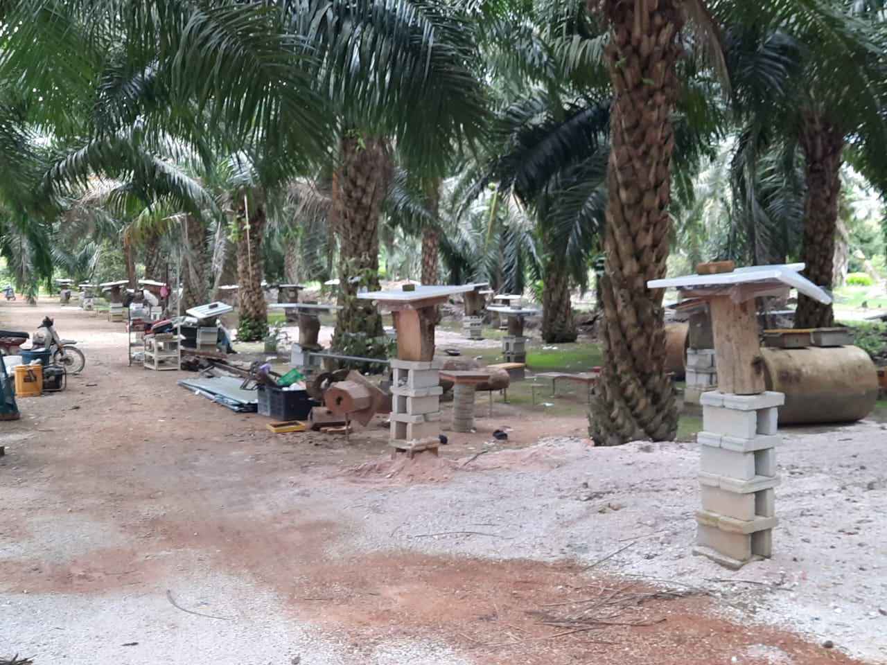 柔：今日面谱：为了孩子而养蜂，苏有福成为养蜂人达人