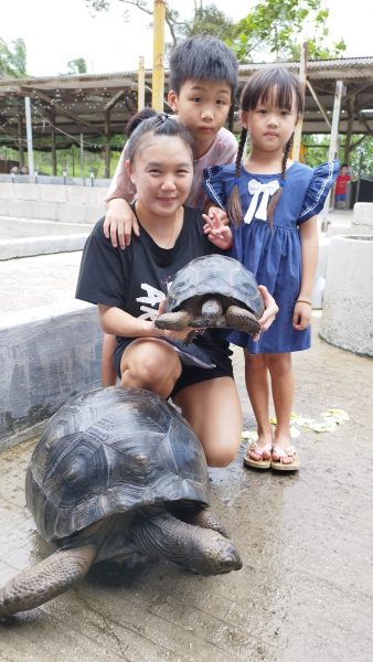 “龟来古来”陆龟交流会，龟友相互交流心得