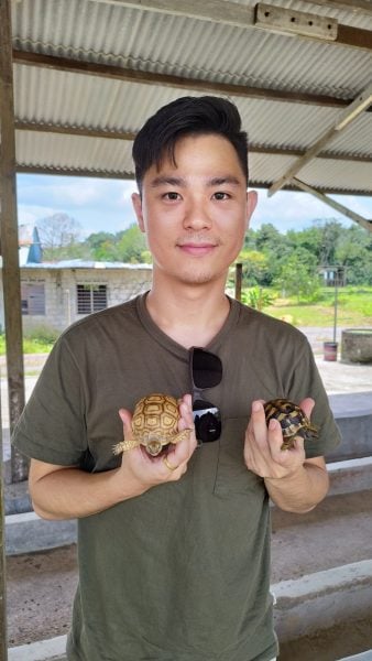 “龟来古来”陆龟交流会，龟友相互交流心得