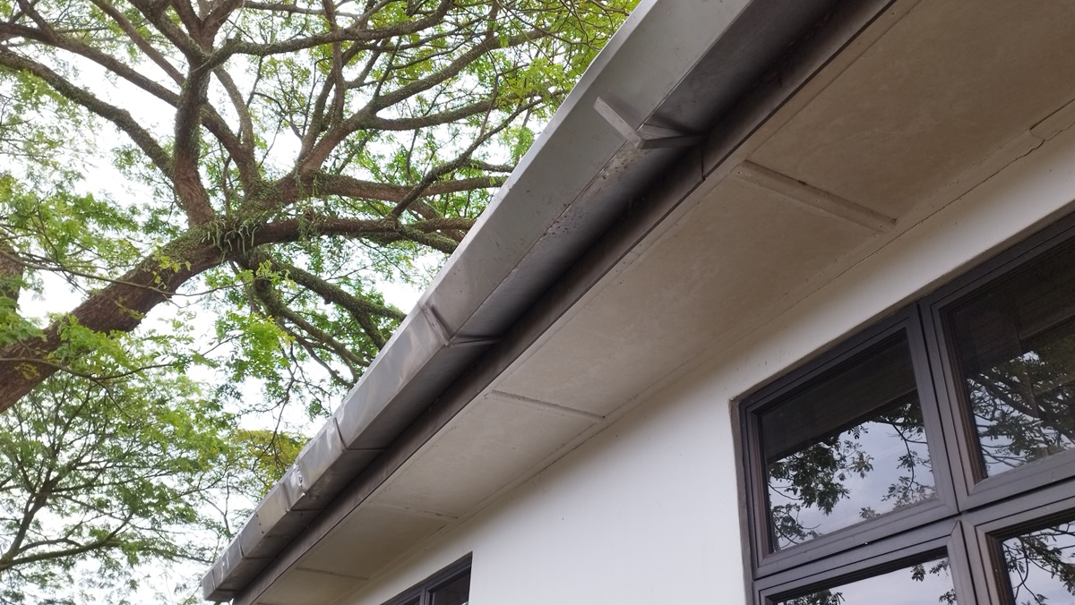 柔:版二:民生稿:路旁茂盛大树延伸至住家致住家屋顶水槽阻塞