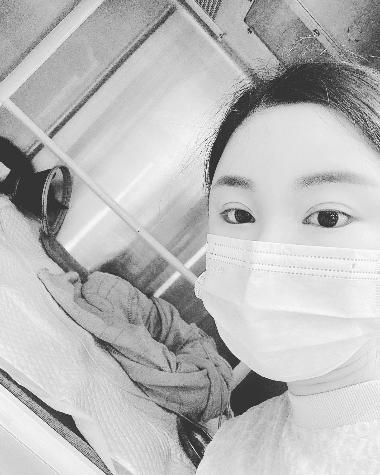 港名媛碎尸案/动物慈善团体贴文悼念 表扬助小动物重获新生