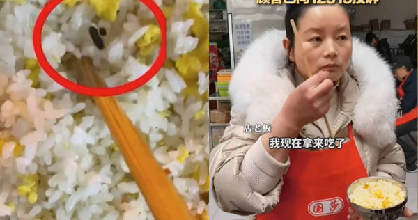 炒饭疑见老鼠屎!老板娘坚称“烧焦”当场一口吃掉:酥酥脆脆的