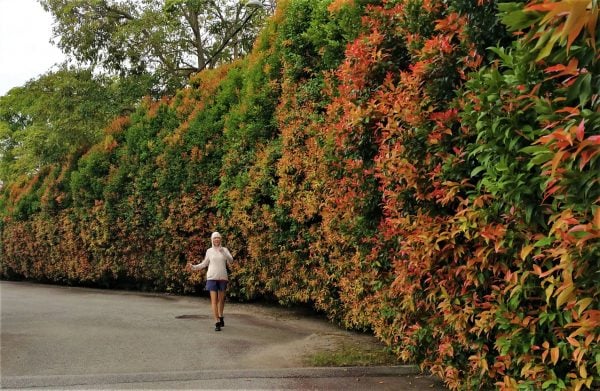 爱长在【生命留书】／没什么放不下的，庸庸不碌就是一生了