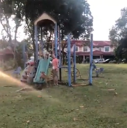 狗狗可否公园溜滑梯?关键在这“一滴水”