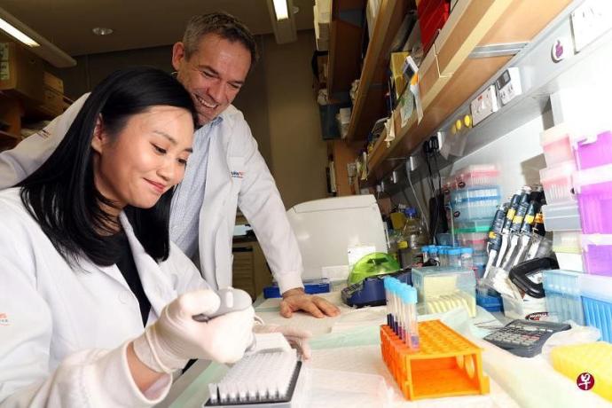 狮城研发世界首创抗生素治疗 促进受损肾脏细胞自行修复