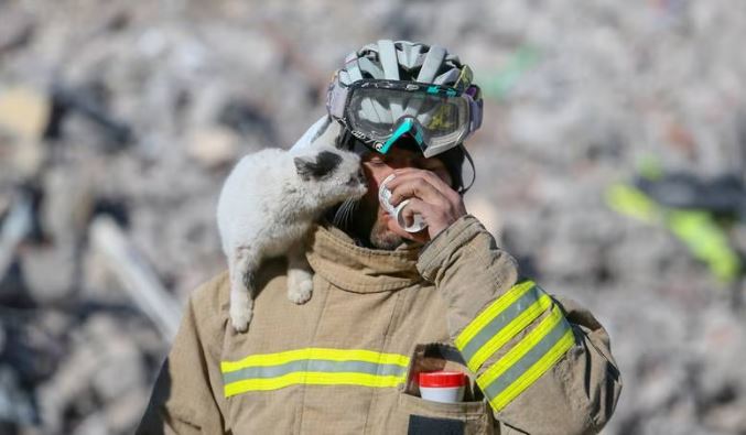 猫咪被困129小时获救 与救命恩人消防员形影不离