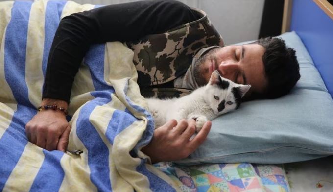 猫咪被困129小时获救 与救命恩人消防员形影不离