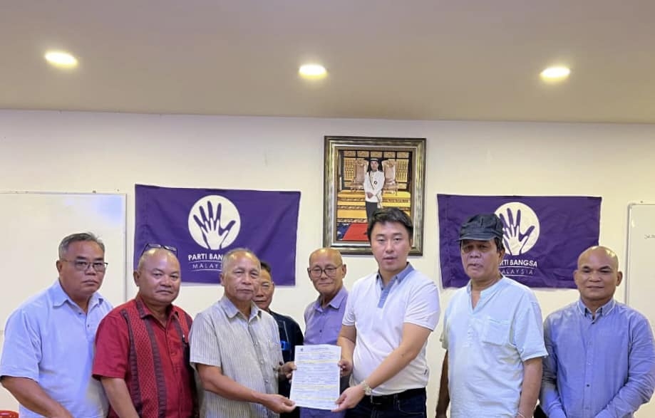 玛瑟古扎加入全民党