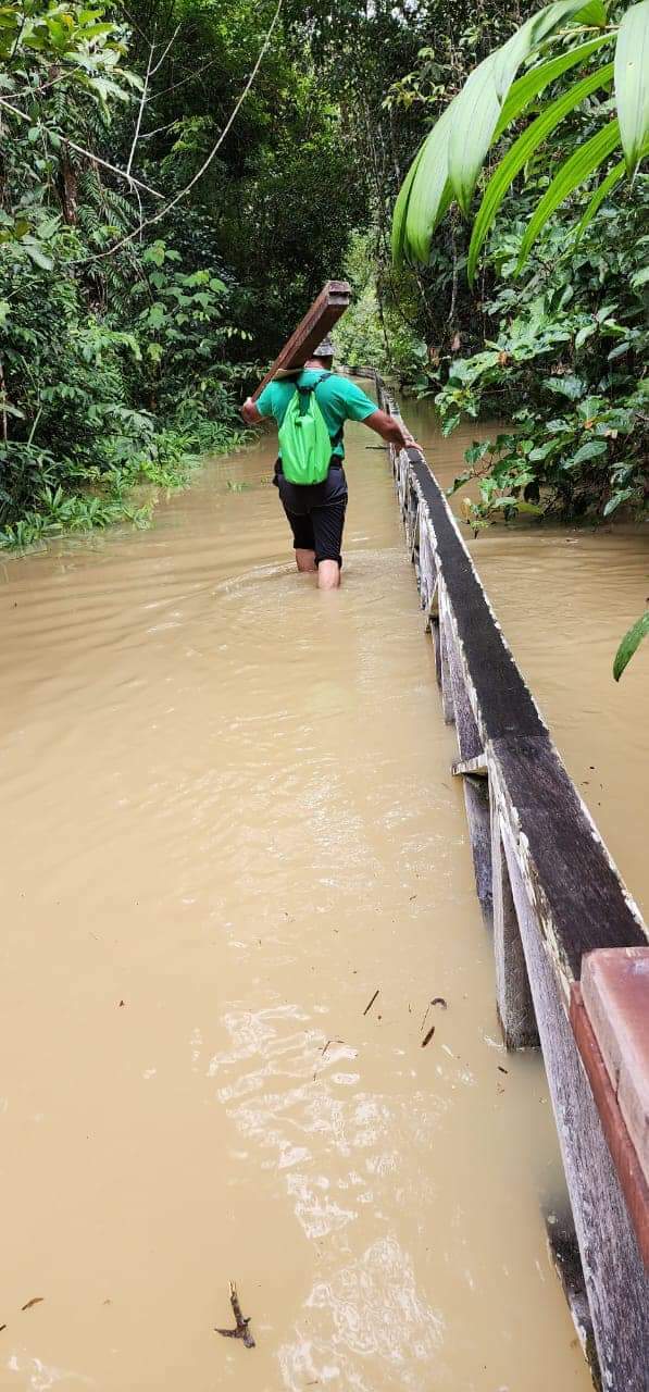 砂尼亚国家公园遭洪水淹没