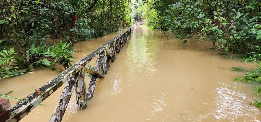 砂尼亚国家公园遭洪水淹没