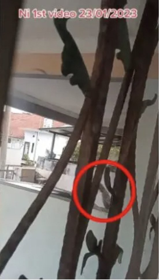 窗外常有臭味以为猫撒尿 装监视器揭邻居泼尿水