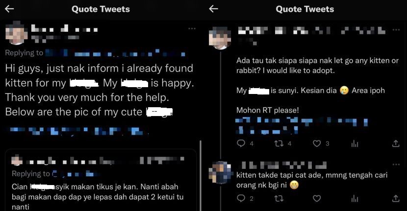 网民表面领养小猫·实则拿来喂宠物蛇!