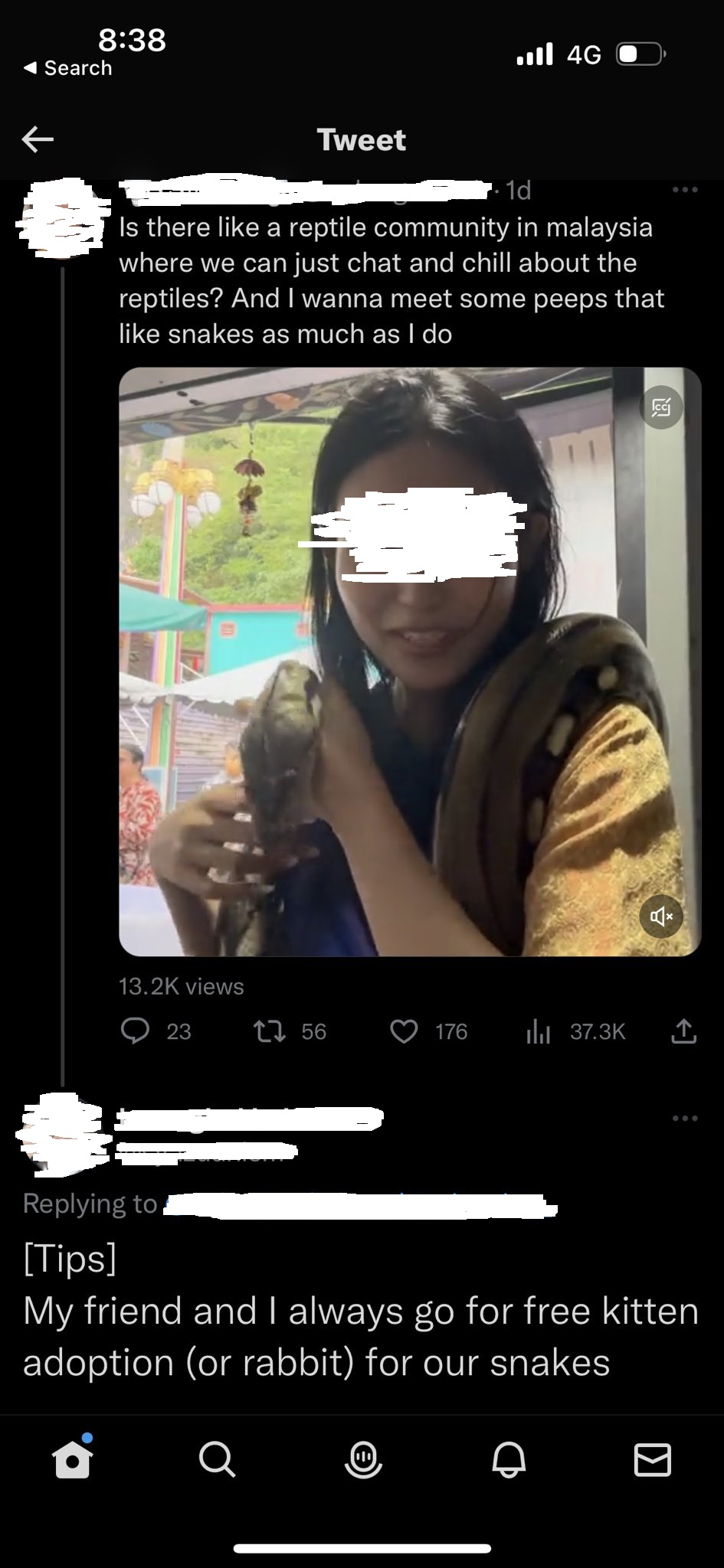 网民表面领养小猫·实则拿来喂宠物蛇!