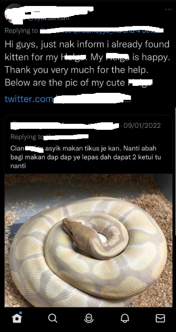 网民表面领养小猫·实则拿来喂宠物蛇!