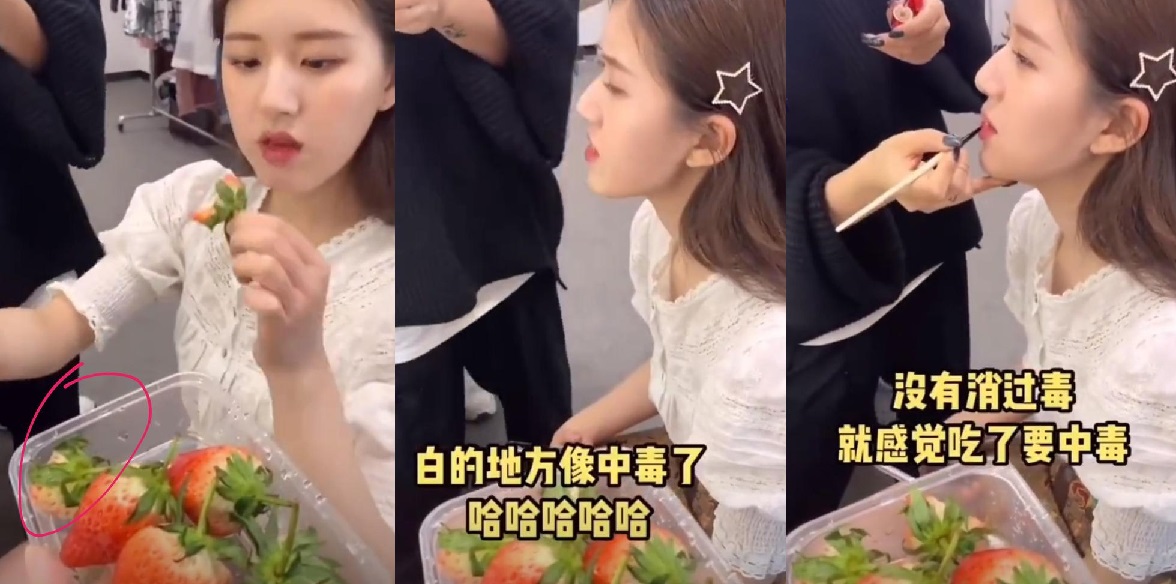 赵露思草莓有毒论曝光 遭批:被认证的文盲