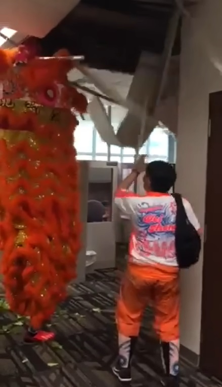 采青用力过猛天花板也被扯下!舞狮敬业 继续表演