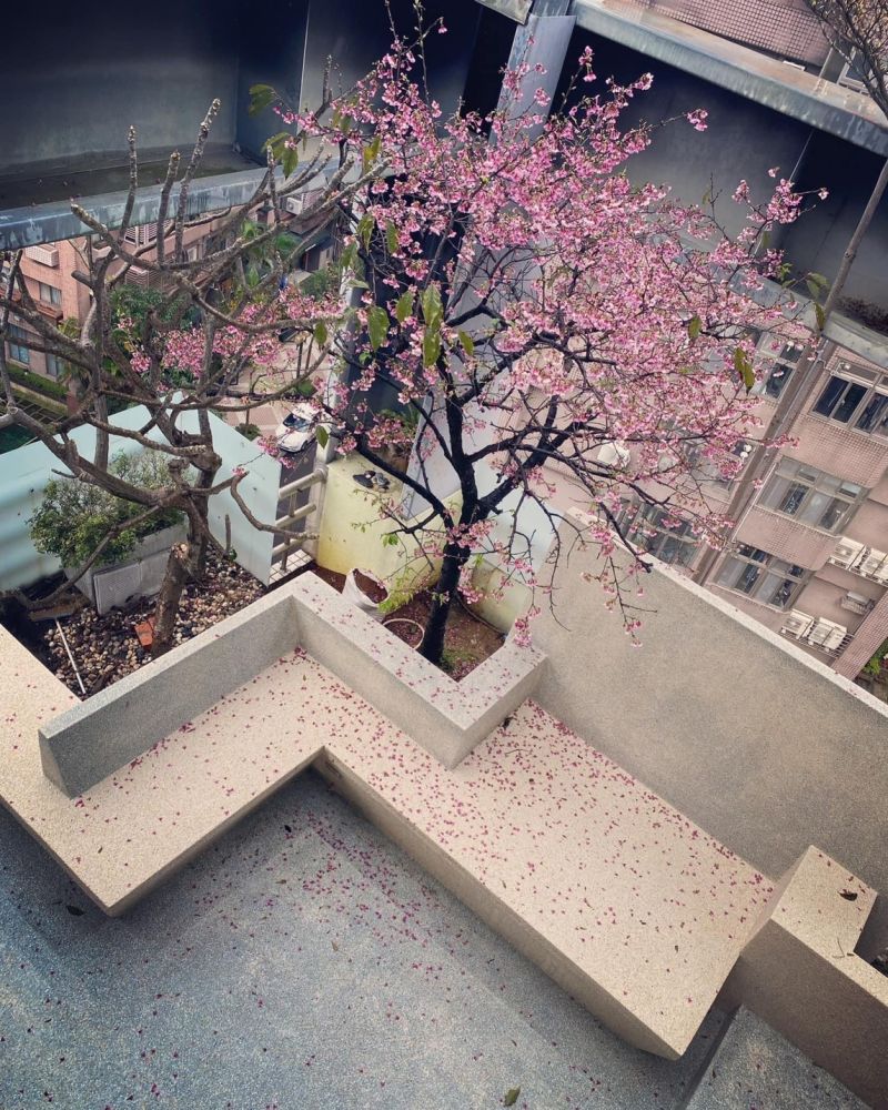 隋棠老公怒晒前住户证词  控恶邻拿榔头威吓小孩