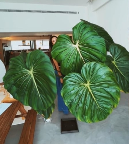 隋棠遭控恶邻全面反击 有录影证邻:歇斯底里捶门咆哮