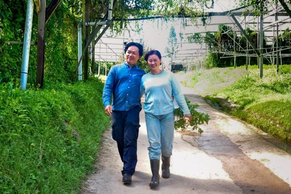 霹 24/3见报：封底主文／执子之手︱“你想要农场 我跟你种菜” 农家神仙眷侣浪漫成日常