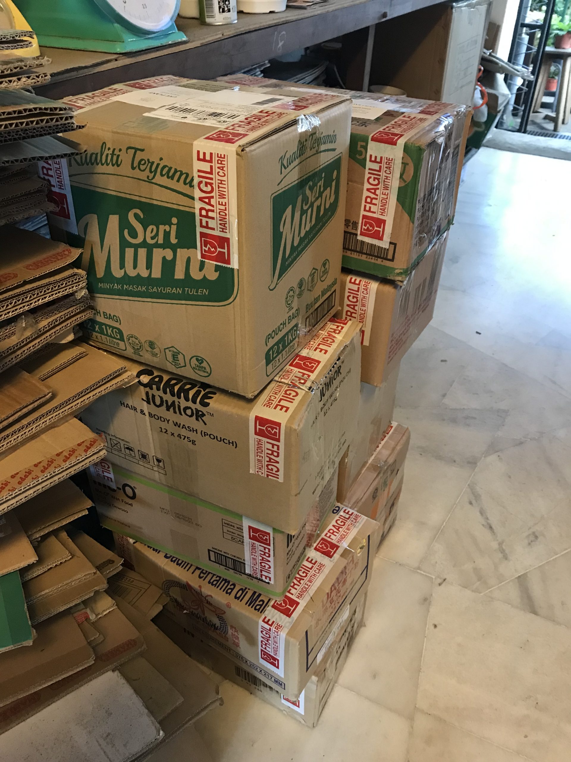 霹:22日见报/封底主文/它的诞生/花圃盆栽