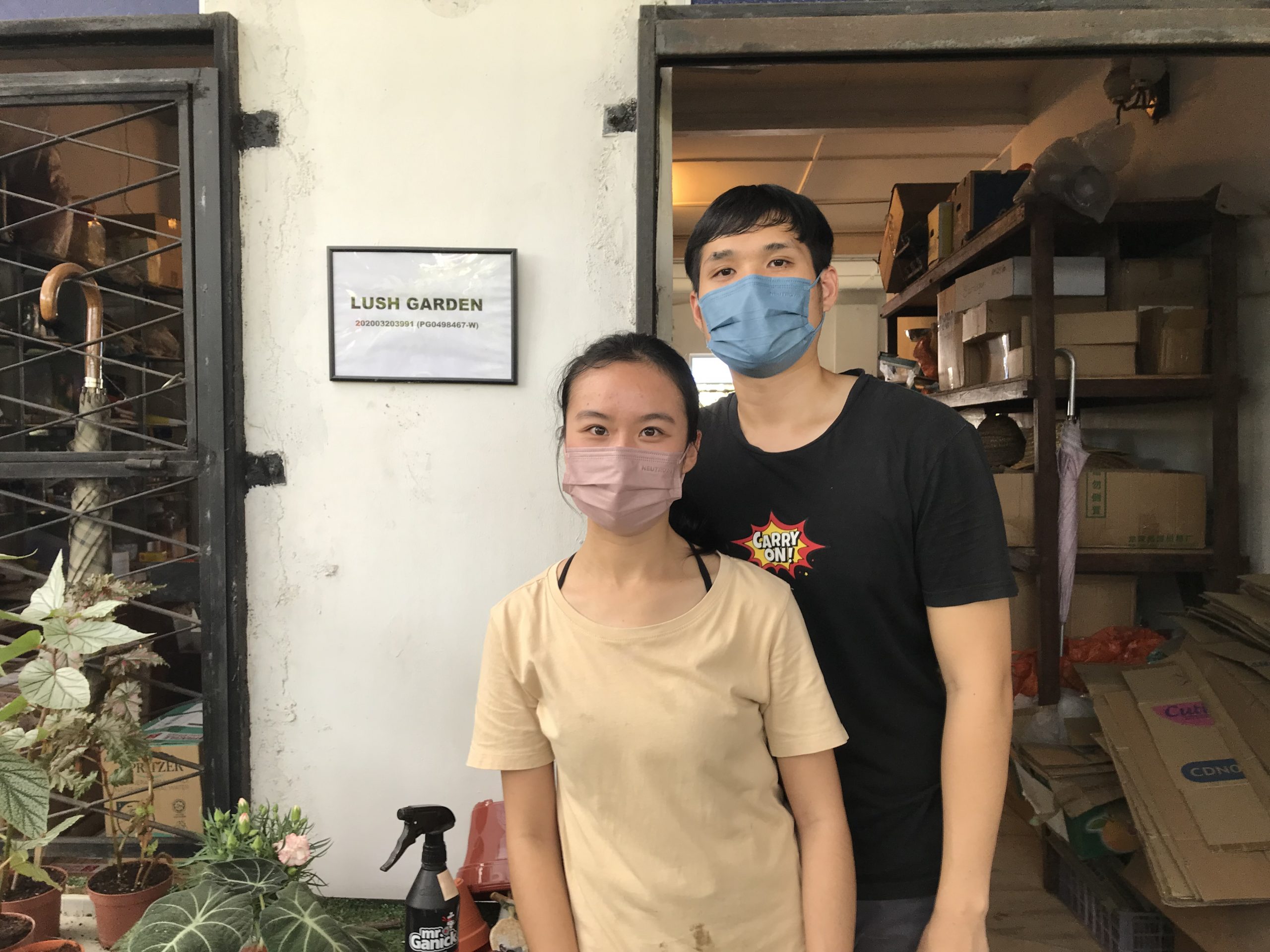 霹:22日见报/封底主文/它的诞生/花圃盆栽