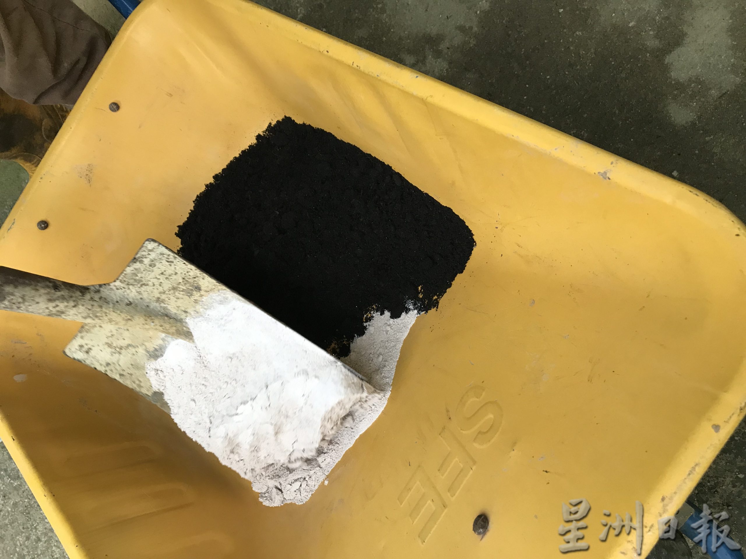 霹:封底主文/【农的传人】江沙榴梿