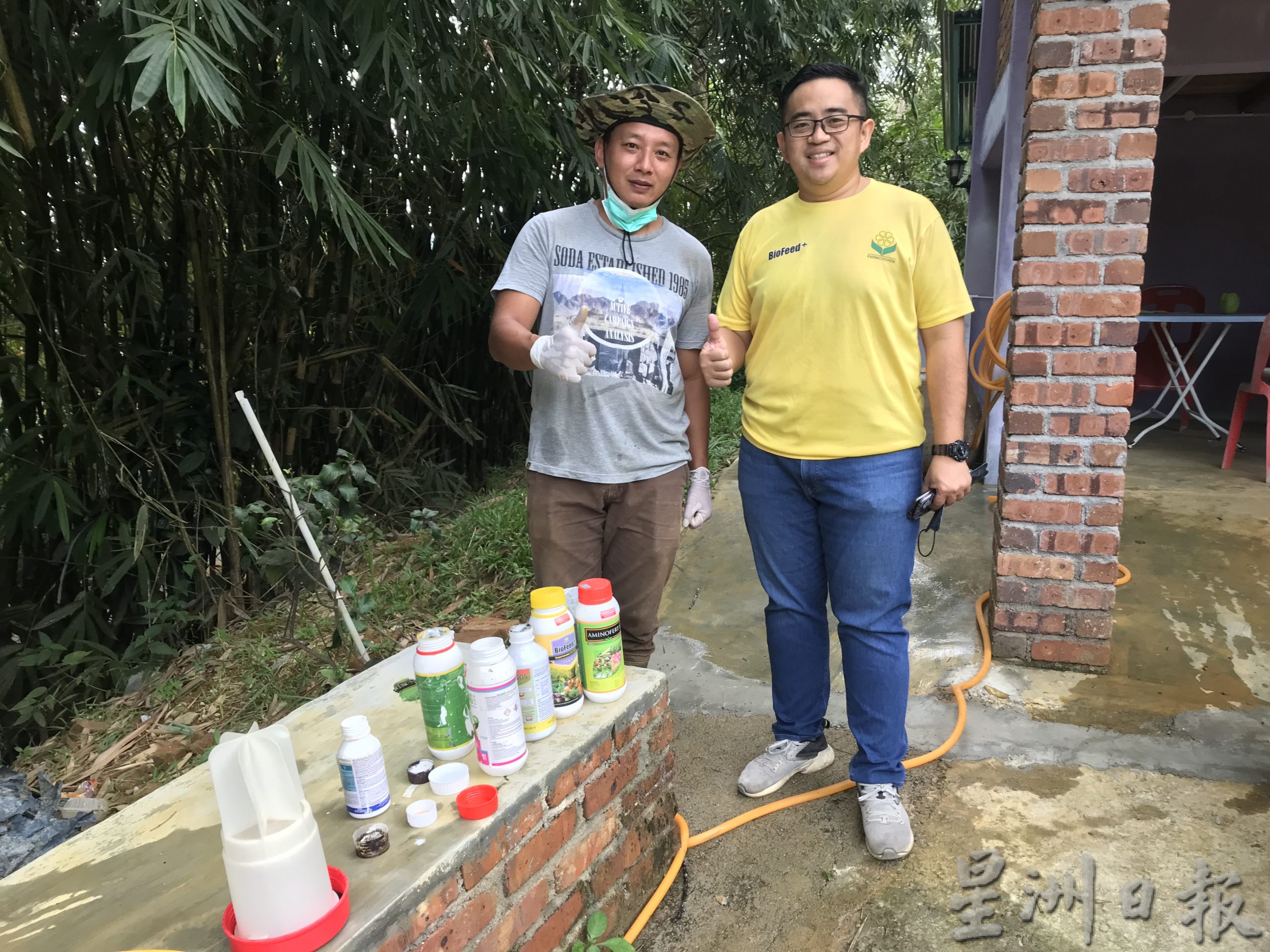 霹：封底主文／【农的传人】江沙榴梿