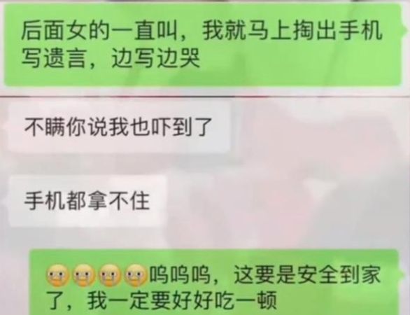 飞越西藏高空突下坠　乘客哭喊拿手机写遗书