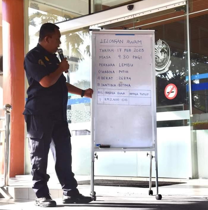 饲主受促管好家畜 曼绒市议会拍卖游荡牛  